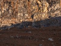 a horse with large ears is standing in the desert and shadows are cast across the rocky hill