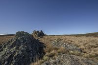 rocks are sitting on the top of a hill above dry grass and vegetation that is covered with moss