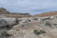 a couple of large rocks in a rocky area with bushes around them and mountains on the other side of the valley