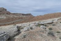 a couple of large rocks in a rocky area with bushes around them and mountains on the other side of the valley