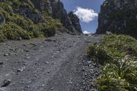 rocky pathway going up to some very high mountains in the wild, with vegetation growing on both sides