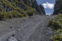 rocky pathway going up to some very high mountains in the wild, with vegetation growing on both sides