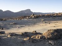 a rocky plain in the desert near mountains with sheep grazing on the ground beneath it