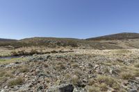 Rocky Slope with Vegetation in a Mountain Range