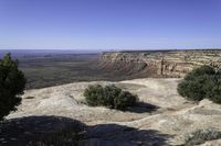 an expanse of rocky terrain with trees on the top of them in the foreground