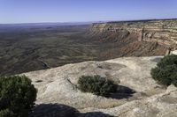 an expanse of rocky terrain with trees on the top of them in the foreground