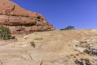 an open rocky area with rocks and trees on it and a mountain in the background