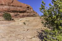 an open rocky area with rocks and trees on it and a mountain in the background