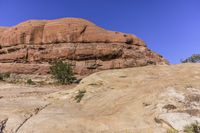 an open rocky area with rocks and trees on it and a mountain in the background