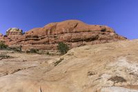 an open rocky area with rocks and trees on it and a mountain in the background