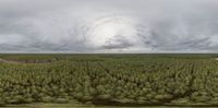 an aerial view of a forest and road under stormy skies and clouds, on a cloudy day