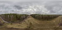 a 360 lens photo showing two roads passing each other on a hill and in front of a forested landscape