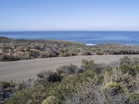 Rugged California Coastal Wilderness: A Beach Lover's Paradise