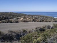 Rugged California Coastal Wilderness: A Beach Lover's Paradise