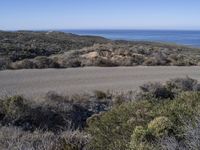 Rugged California Coastal Wilderness: A Beach Lover's Paradise