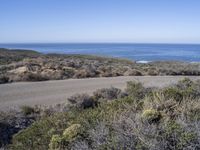 Rugged California Coastal Wilderness: A Beach Lover's Paradise