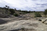 Rugged Canyonlands: High Elevated Grass in Utah's Desert