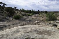 Rugged Canyonlands: High Elevated Grass in Utah's Desert