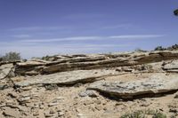 a rocky landscape with green shrubs and trees below it, and sky above the canyon