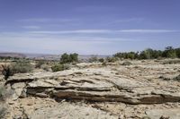 a rocky landscape with green shrubs and trees below it, and sky above the canyon