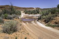 a dirt road that has muddy and puddles of water on it in the middle