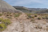 the dirt road is dirted down in a canyon of mountains and shrubs, dirt trails, and dry grass