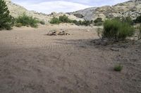 a view of a dry, arid area with plants and bushes around it with some hills behind