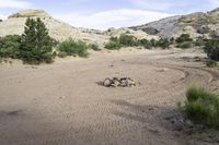 a view of a dry, arid area with plants and bushes around it with some hills behind