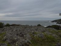 Rugged Coastal Landscape in New South Wales