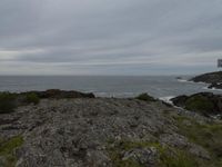 Rugged Coastal Landscape in New South Wales