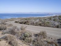 Rugged Coastal Road in Montaña de Oro State Park, California, USA