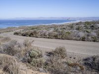 Rugged Coastal Road in Montaña de Oro State Park, California, USA