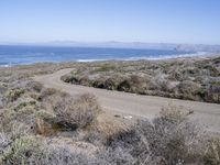 Rugged Coastal Road in Montaña de Oro State Park, California, USA