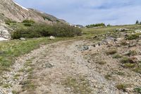 two sheep graze on a grassy field by the side of a mountain road under the blue sky