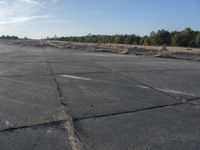 Rugged Concrete Street Surrounded by Nature 001