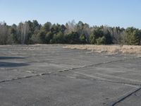 Rugged Concrete Street Surrounded by Nature 002