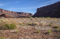 the arid ground is brown and brown in color, with large mountains behind it and small green bushes in front