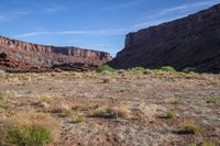 the arid ground is brown and brown in color, with large mountains behind it and small green bushes in front