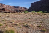 the arid ground is brown and brown in color, with large mountains behind it and small green bushes in front