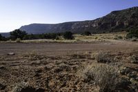 a dirt field and a dry landscape with trees in the middle of it and hills in the background