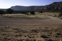 a dirt field and a dry landscape with trees in the middle of it and hills in the background