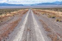 a dirt road going into the distance through the wilderness plain of dry brush in front of mountains