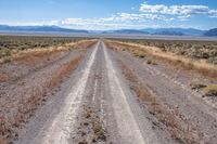 a dirt road going into the distance through the wilderness plain of dry brush in front of mountains