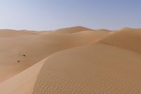 Rugged Desert Road in Liwa, Sahara