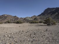 the dry, arid landscape of the desert is alive with green plants and rocks on both sides