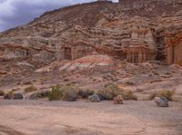 this horse stands in the desert with its back legs crossed and feet up, with rocky landscape behind him