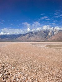 Rugged Destination: Gravel Road in Nature 001