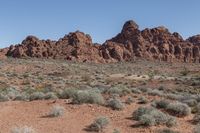 there is a dirt field in the desert with some bushes near by, and rocks behind it