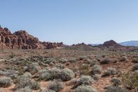 there is a dirt field in the desert with some bushes near by, and rocks behind it