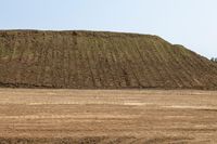 Rugged Dirt Road in Open Field Landscape